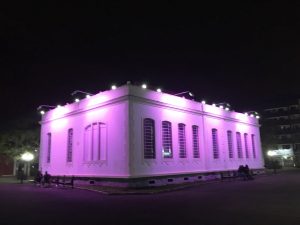 cocel deixou o museu de campo largo rosa para a campanha outubro rosa