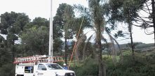 Foto de caminhão e funcionário da Cocel executando poda de árvores na beira da estrada, próximo da rede de energia